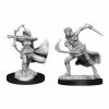 WizKids Nolzur's Marvelous Unpainted Miniatures - Air Genasi