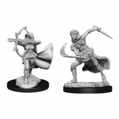 WizKids Nolzur's Marvelous Unpainted Miniatures - Air Genasi
