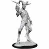 WizKids Nolzur's Marvelous Unpainted Miniatures - Nightwalker