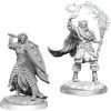 WizKids Role-playing Miniatures Nolzur's Marvelous Unpainted Miniatures - Elf Cleric