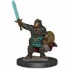 WizKids Icons Of The Realms: Premium Figures - Dwarf Paladin Female