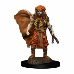 WizKids Icons Of The Realms: Premium Figures - Human Druid Male Role-playing Miniatures